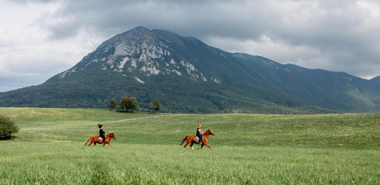 Ekoturizem Hudicevec 3* Postojna
