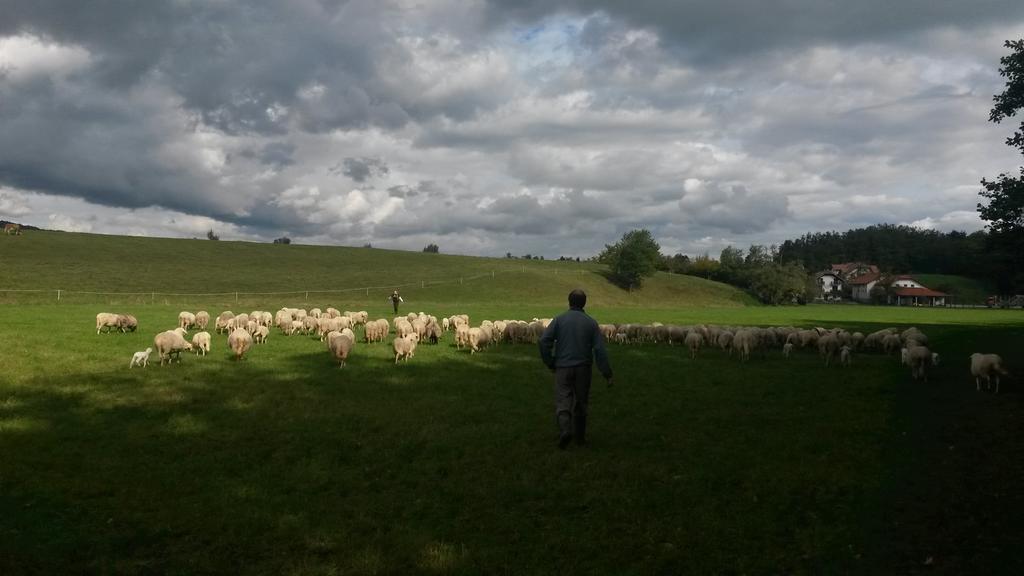 Ekoturizem Hudicevec Postojna