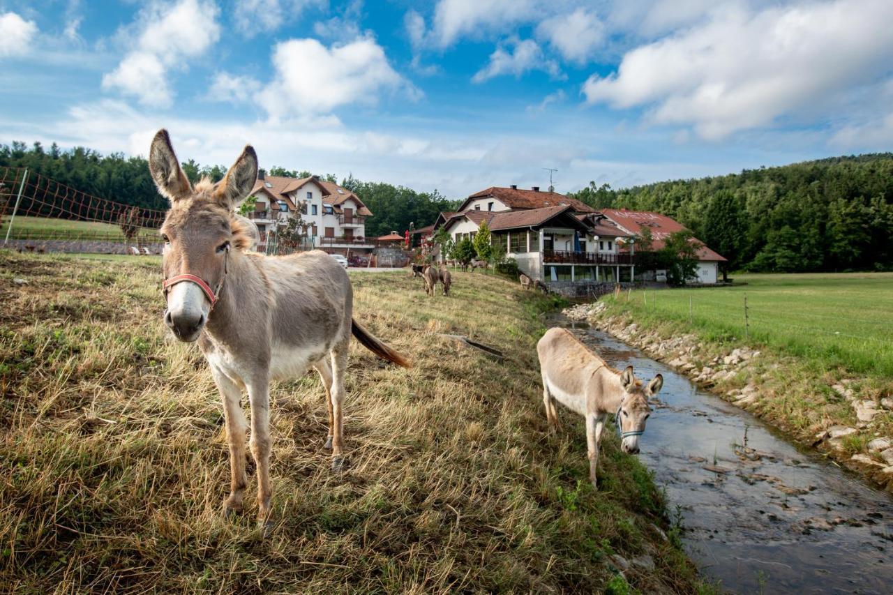 Ekoturizem Hudicevec Postojna