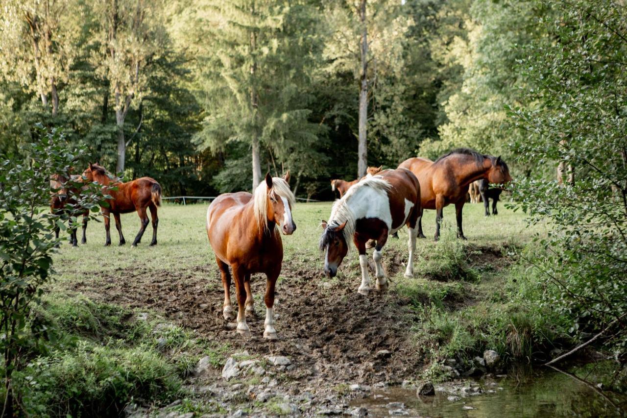 Ekoturizem Hudicevec 3* Postojna